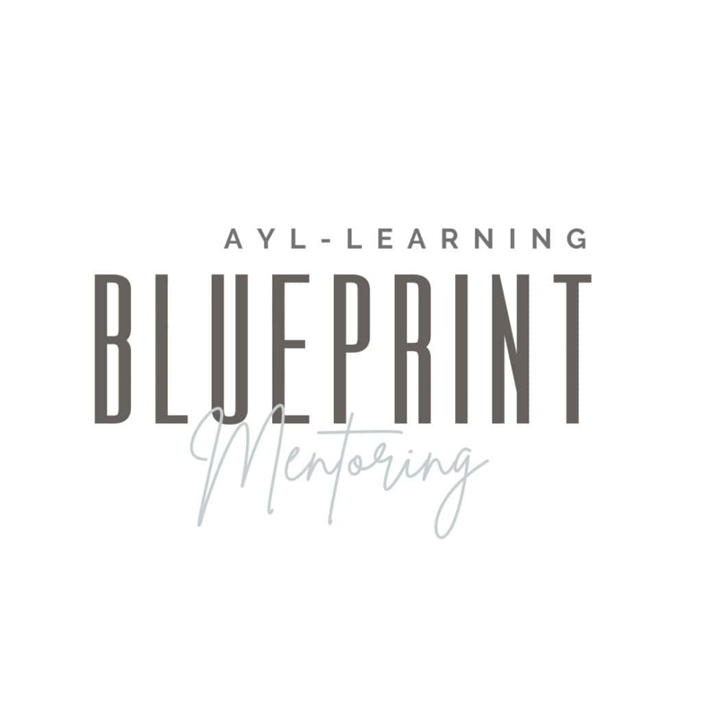 Learnings Blueprint Mentoring